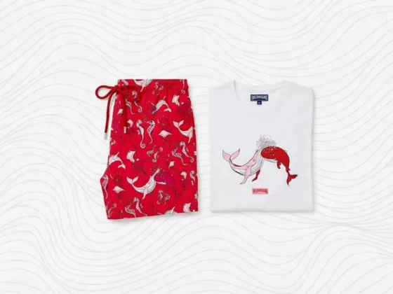 1 Tidal Migration by Vilebrequin