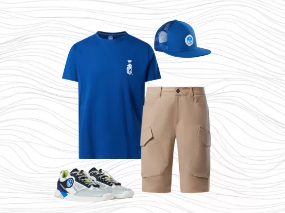 1 The Offshore Narrative