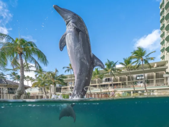 1 THE KAHALA HOTEL RESORT