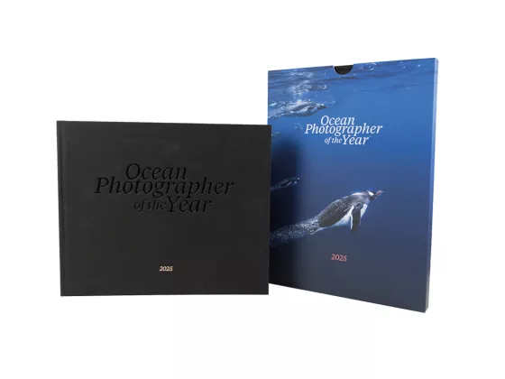 1 Ocean Photographer of the Year Edition 2025 Penguin Cover