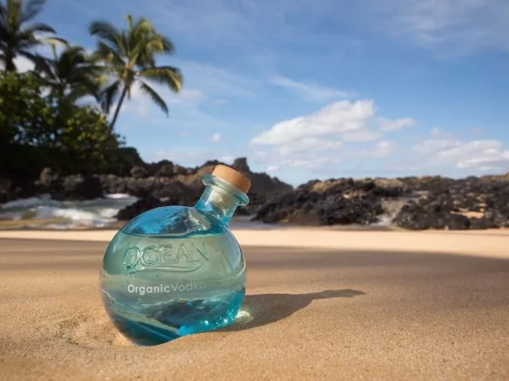 Ocean vodka7