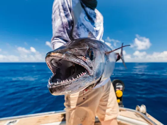 Fish Around The World With Captain Experiences 3
