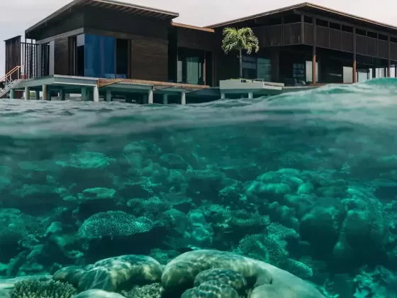 Park Hyatt Maldives Hadahaa A Private Island Sanctuary in the Indian Ocean 01