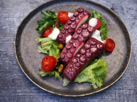 The Kraken by Revo Foods 3 D Printed Seafood Reinvented 01