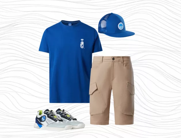 1 The Offshore Narrative