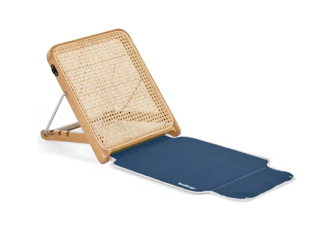 1 The Lounger by Basil Bangs