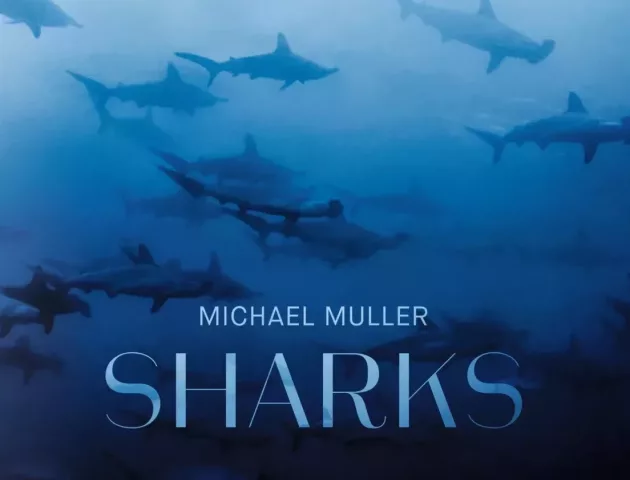 7a52241971b1eab10e952046381e90a3