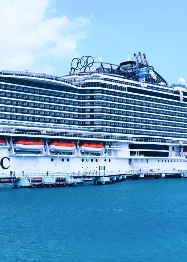 Secrets of the Floating City How to Run a Gigantic Cruise Ship