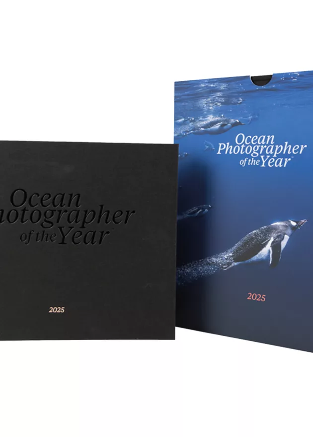 1 Ocean Photographer of the Year Edition 2025 Penguin Cover