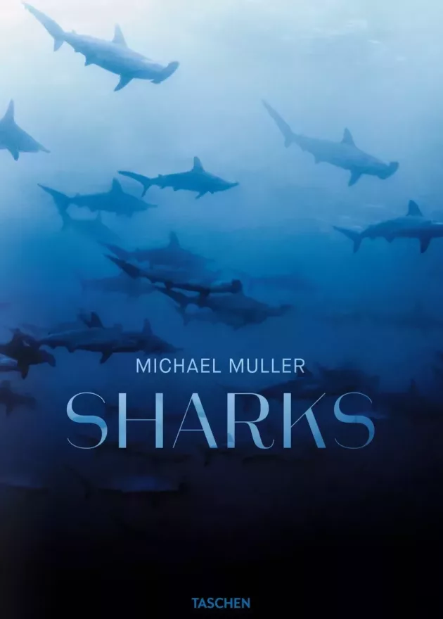 7a52241971b1eab10e952046381e90a3