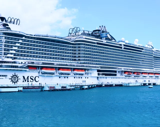 Secrets of the Floating City How to Run a Gigantic Cruise Ship