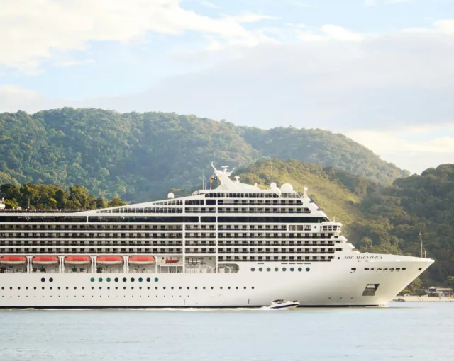 Msc magnifica design and atmosphere