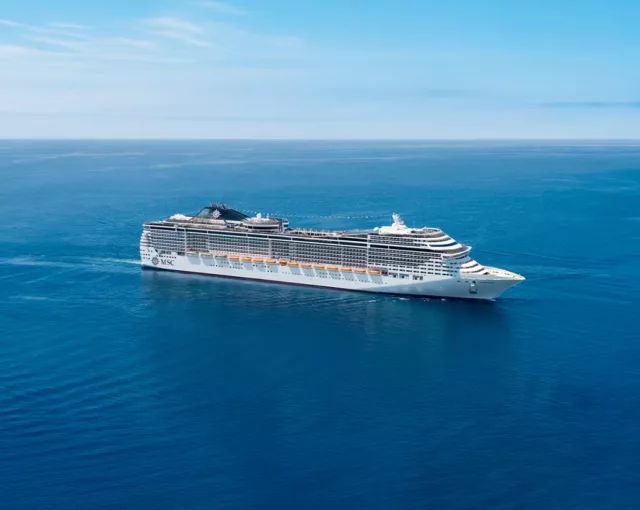 Msc divina key takeaways