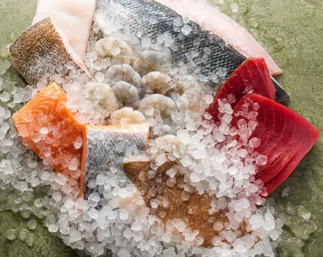 Fresh from the Coast The Sea The Sea Fish Boxes 08