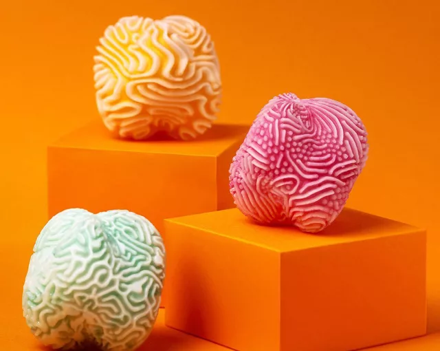 Microbi Design Coral Soaps Inspired by the Sea 01