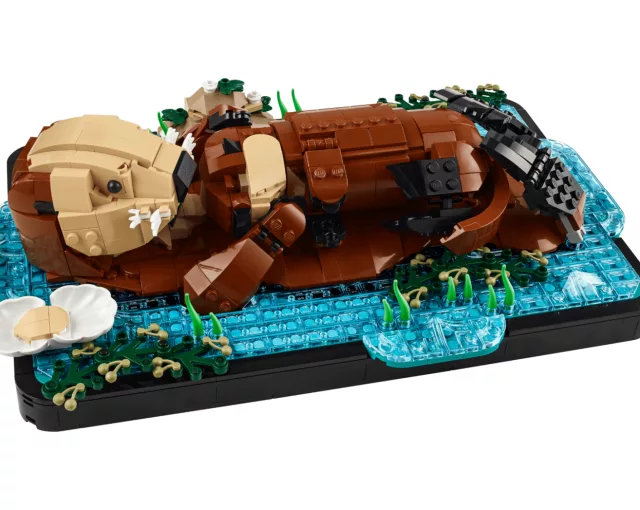 1 THE FLOATING SEA OTTERS