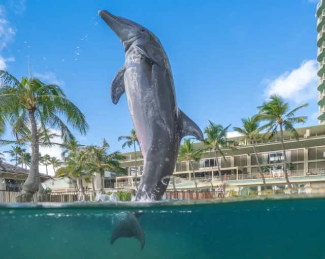 1 THE KAHALA HOTEL RESORT