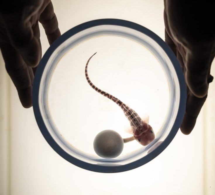 1st place Conservation Hope Photographer of the Year