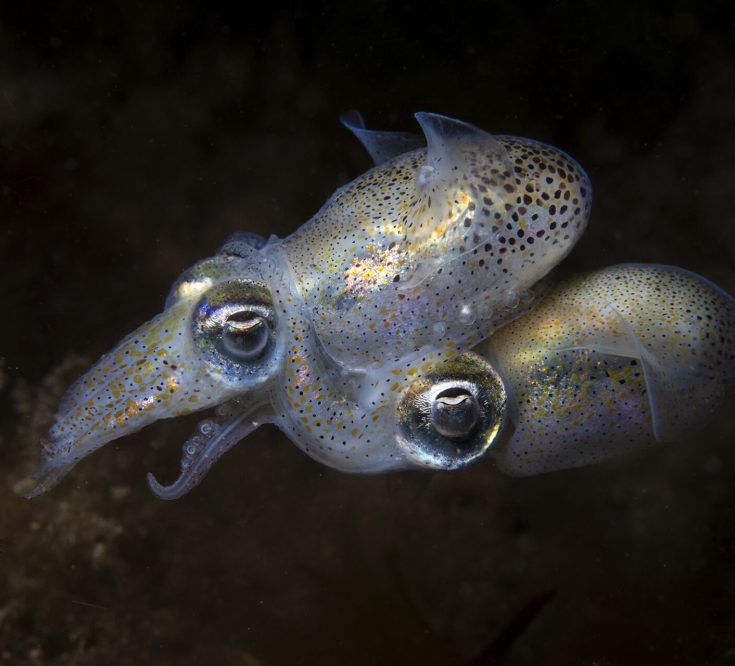 1st place Young Photographer of the Year