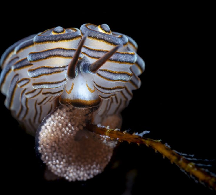 2nd place Ocean Portfolio Award