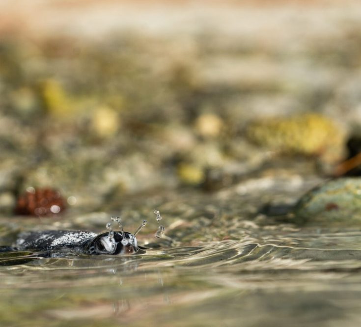 2nd place Young Photographer of the Year