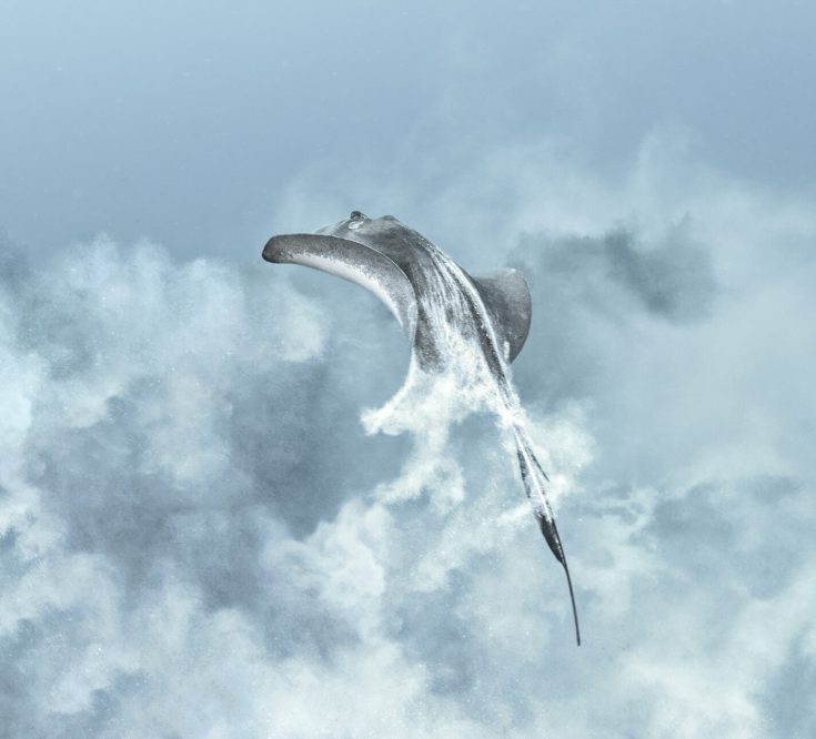 3rd place Fine Art Photographer of the Year