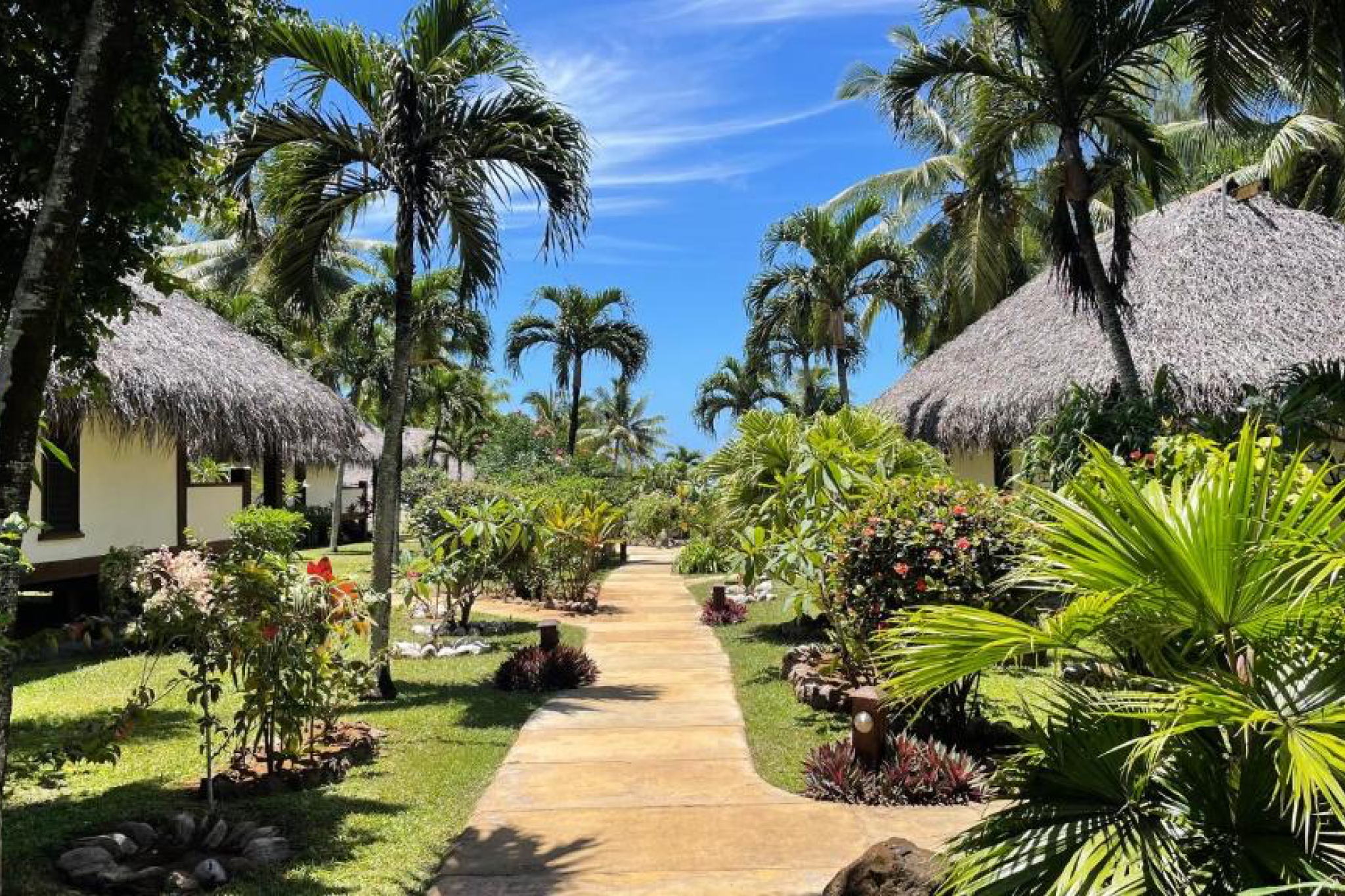Tropical garden pathway lined with thatched villas and palm trees at Etu Moana Boutique Beach Villas, an adults-only retreat ranked among the best Aitutaki resorts.
