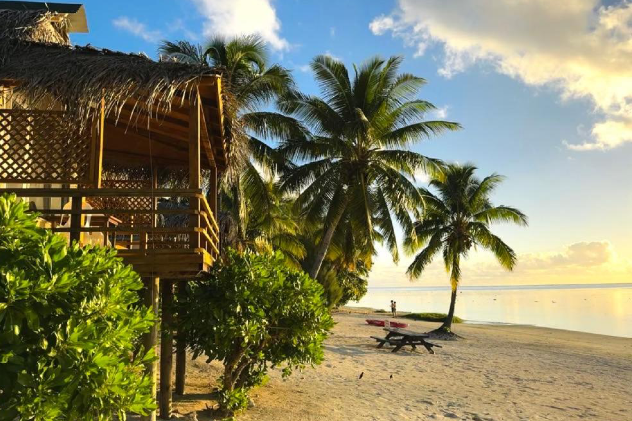 Lagoonfront bungalows under palm trees at Paradise Cove Lodges in Amuri, Cook Islands, offering a relaxed beachfront stay featured among the best Aitutaki resorts.