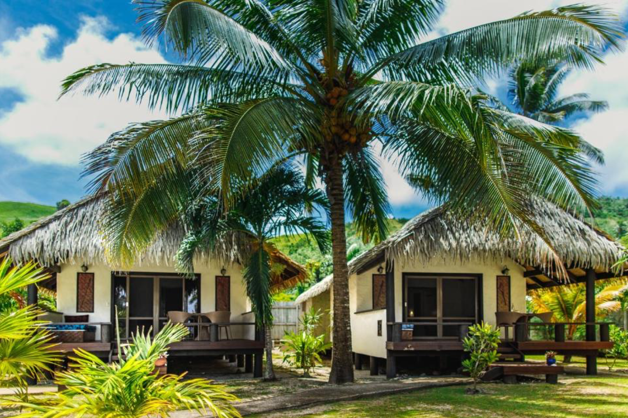 Traditional thatched beachfront bungalows framed by lush palms at Tamanu Beach Resort in Aitutaki, Cook Islands — a charming and cultural stay among the best Aitutaki resorts.