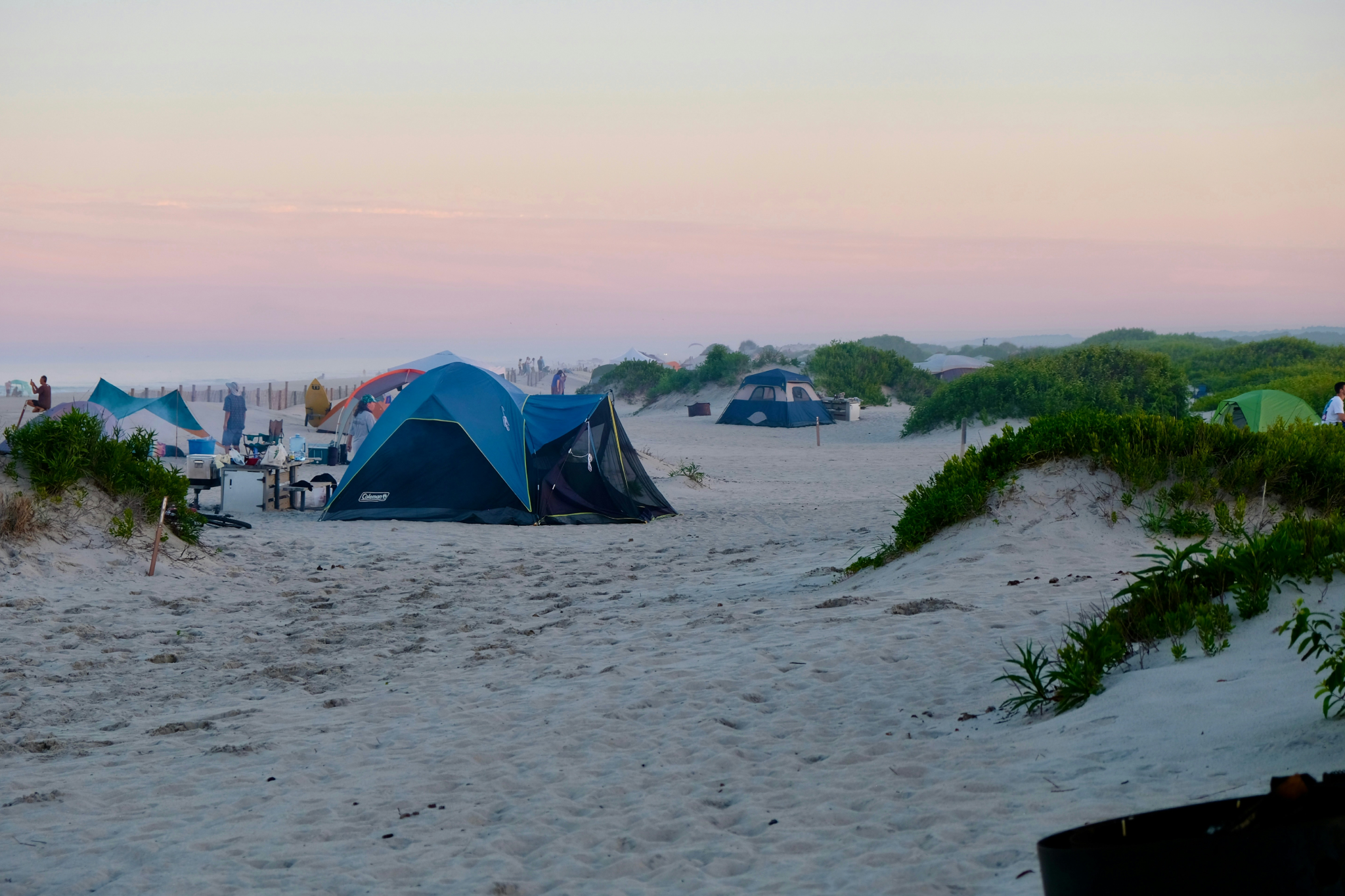 Beachside camping at sunset on Assateague Island with colorful tents scattered across pristine dunes, showcasing the wild beauty that makes it one of the best beaches on the US East Coast