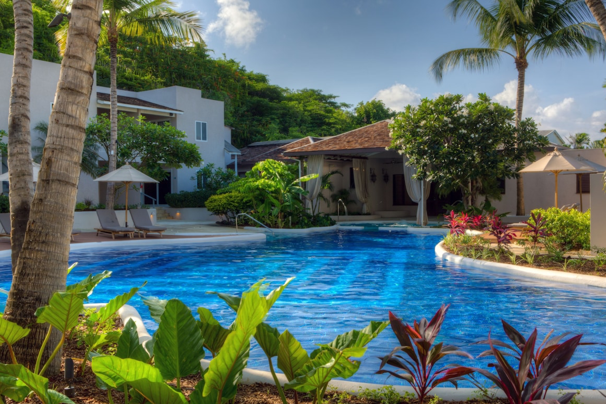 Serene poolside at Waves Hotel & Spa with tropical gardens, a wellness-focused retreat on the Platinum Coast and one of the best luxury resorts in Barbados.