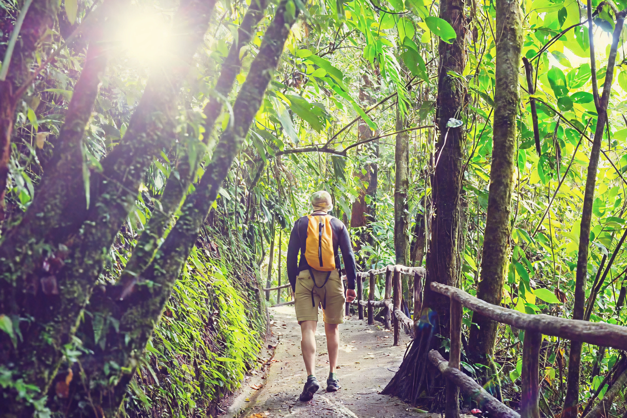 Guest hiking through a lush tropical jungle trail during an excursion arranged by Crocs Resort & Casino.