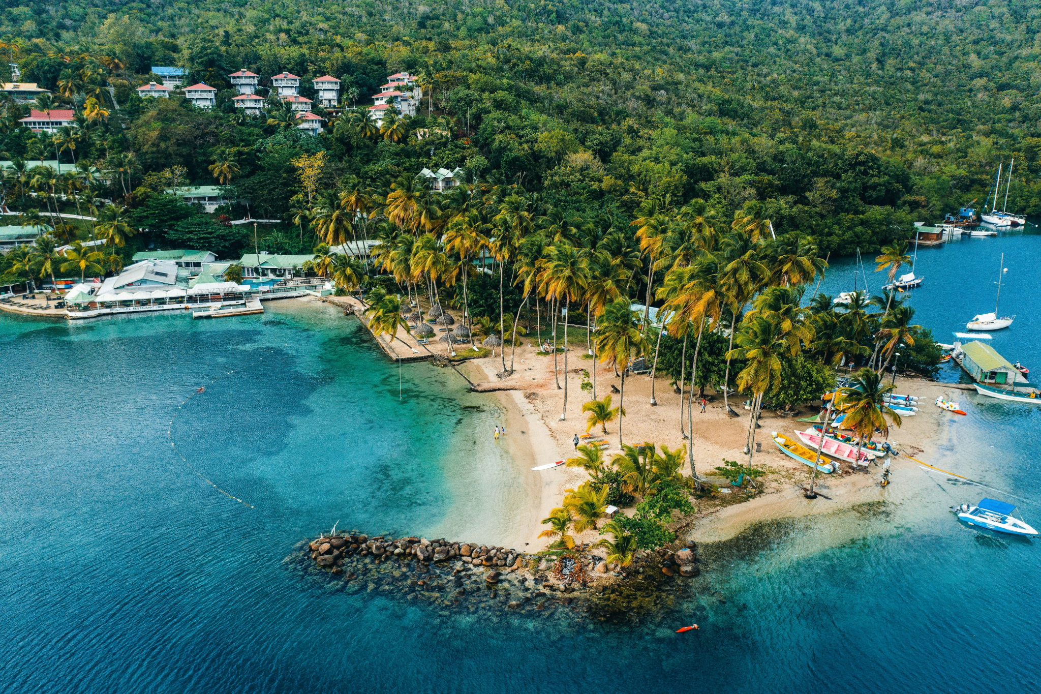 Tropical Caribbean port destination visited by Norwegian Encore, with palm trees, sandy beaches, and turquoise water.