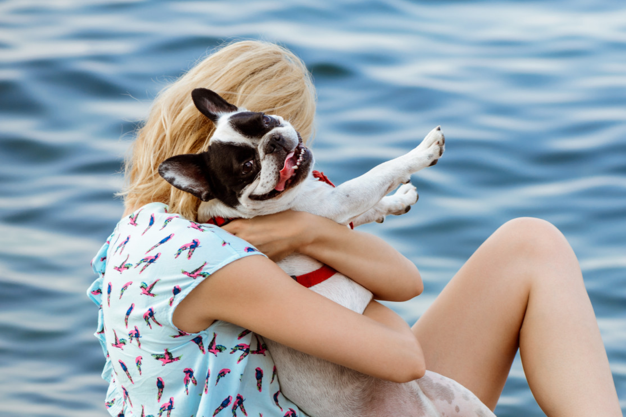 Traveler hugging her French Bulldog near the ocean, highlighting the appeal of pet-friendly cruises for dog owners who want to vacation together.