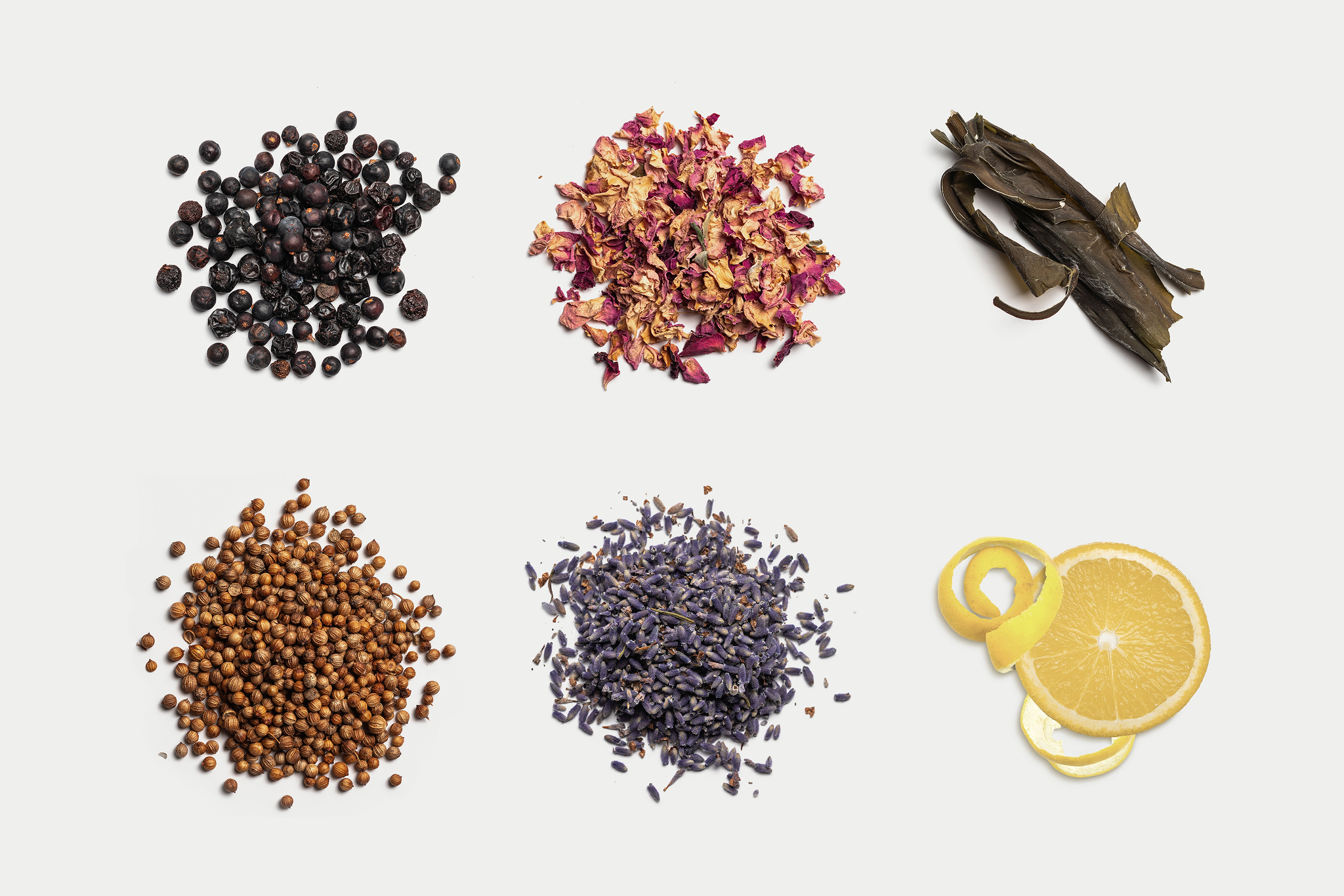 Botanicals used in Sheringham Seaside Gin including juniper berries, dried rose petals, winged kelp, coriander seeds, lavender, and citrus peel.