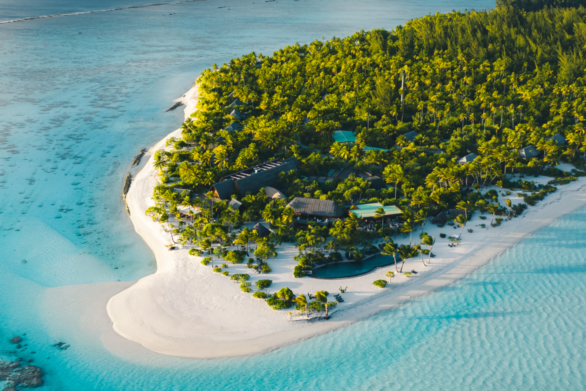 Aerial arrival view of The Brando, showing beachfront villas surrounded by dense palm trees and turquoise lagoon waters on Tetiaroa.