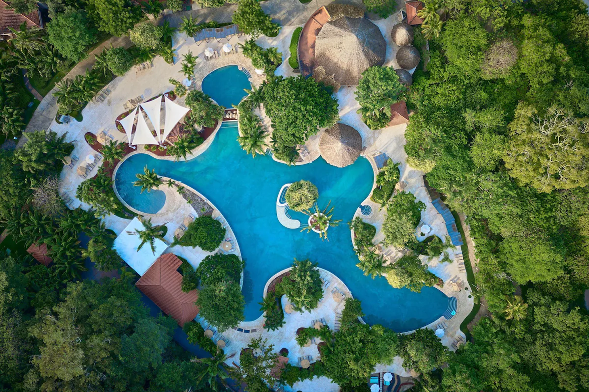 Top-down view of the expansive pool area at The Westin Reserva Conchal, surrounded by trees and palapas.