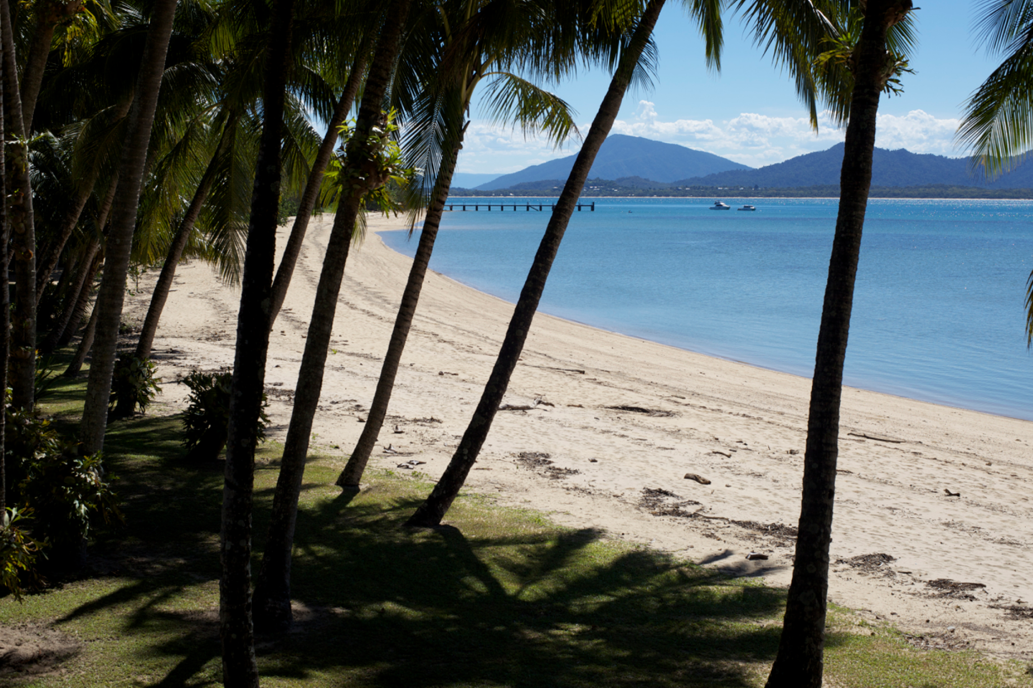 Tropical Australian island with dense greenery and sandy beach on a sunny day, one of the billionaire islands in Australia owned by Mike and Annie Cannon-Brookes.